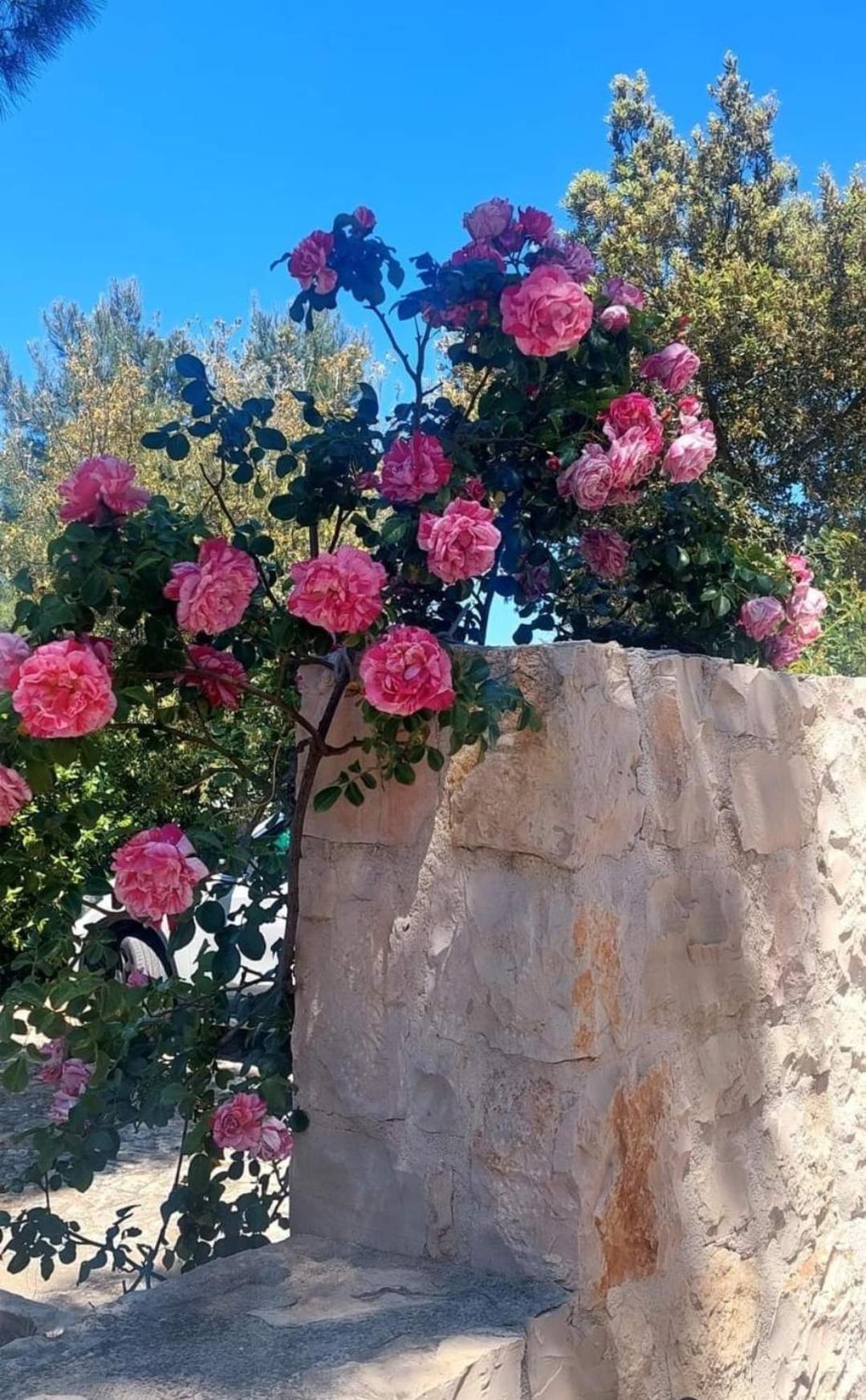 Вилла Il Trullo Delle Rose, Monopoli By Il Pumo Di Puglia Cozzana Экстерьер фото