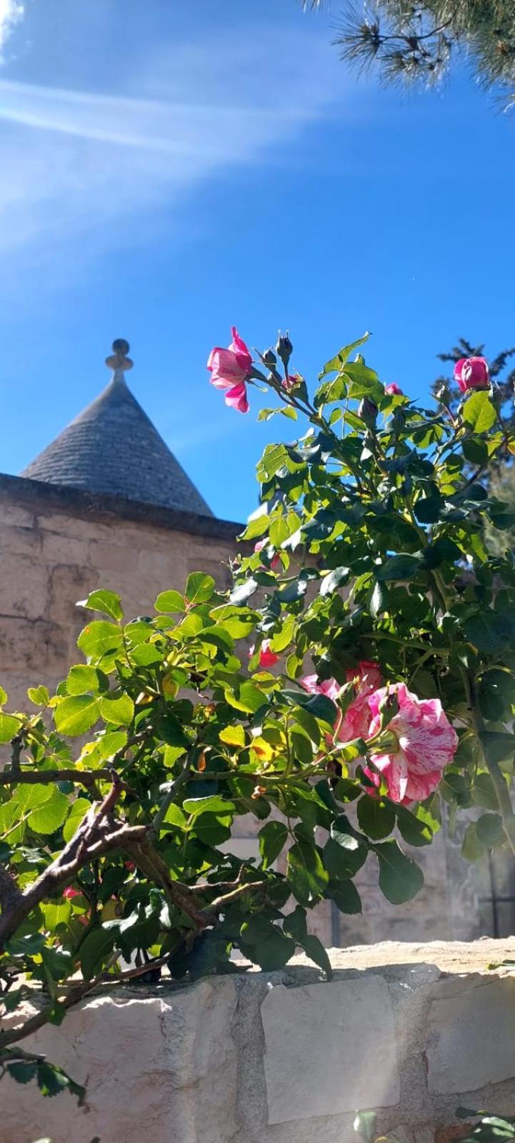 Вилла Il Trullo Delle Rose, Monopoli By Il Pumo Di Puglia Cozzana Экстерьер фото